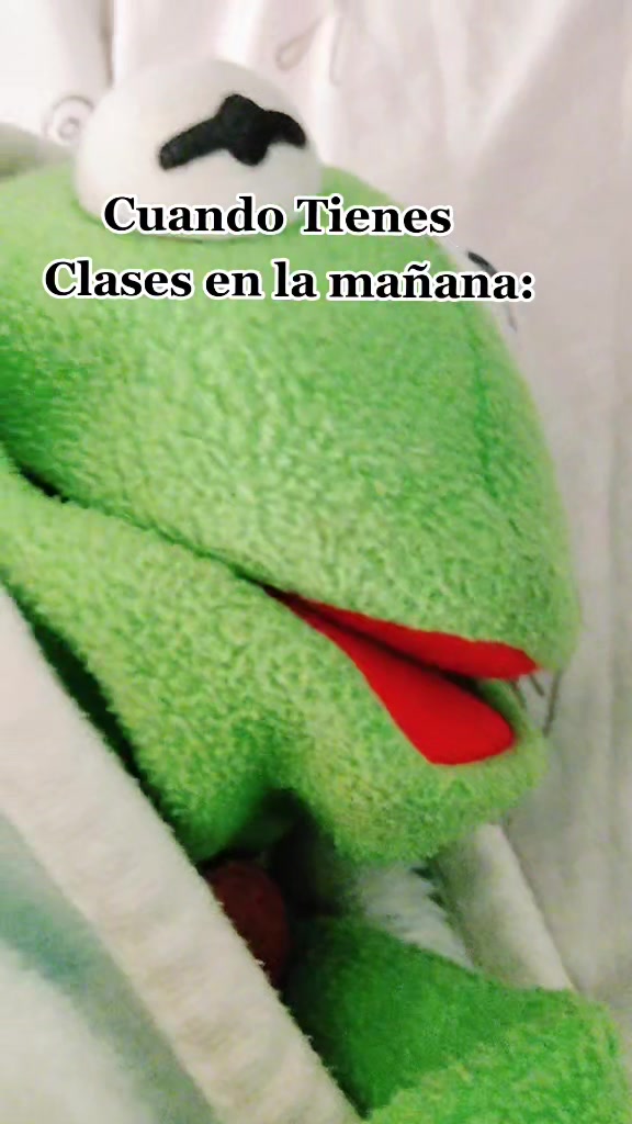 @RanitaAlva🐸