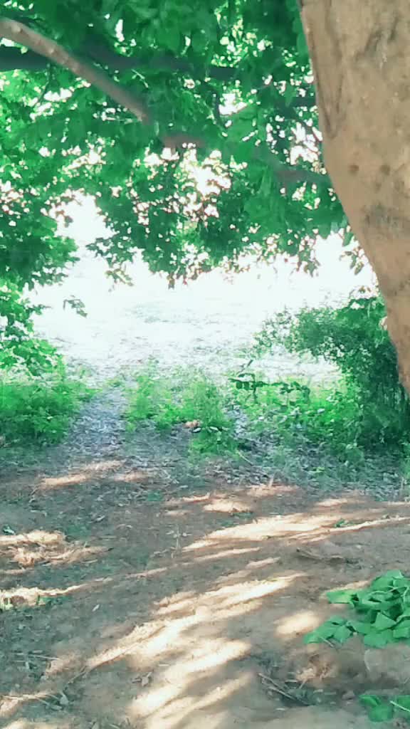 @Salman Mirza Salman