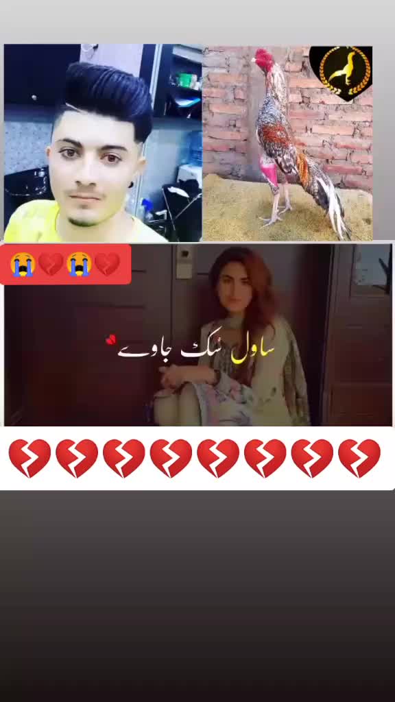 @Pakistan zindabad 🇵🇰🇦🇪🤘