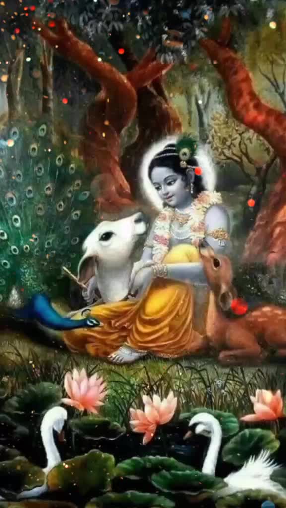 @Deepak Bairagi💖🇮🇳