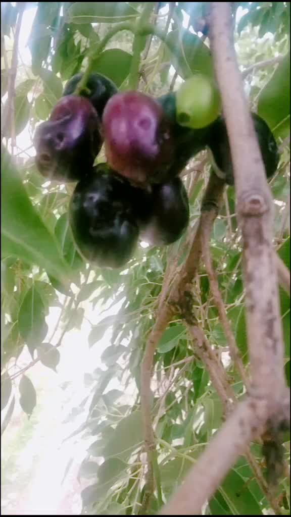 @user2900650475340