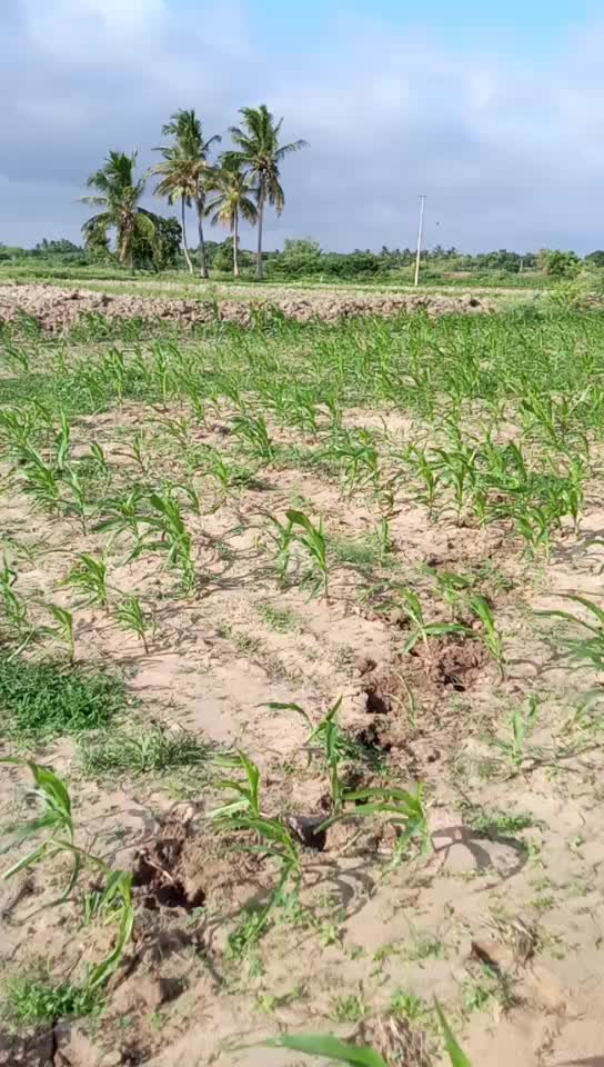 @ಅಪ್ಪು ಬಾಸ್ GS