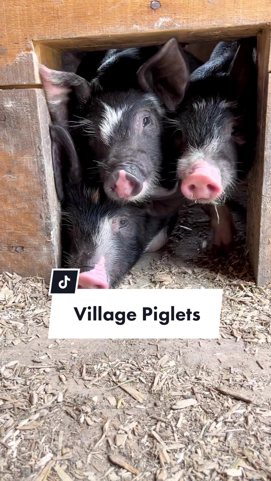 @UpperCanadaVillage