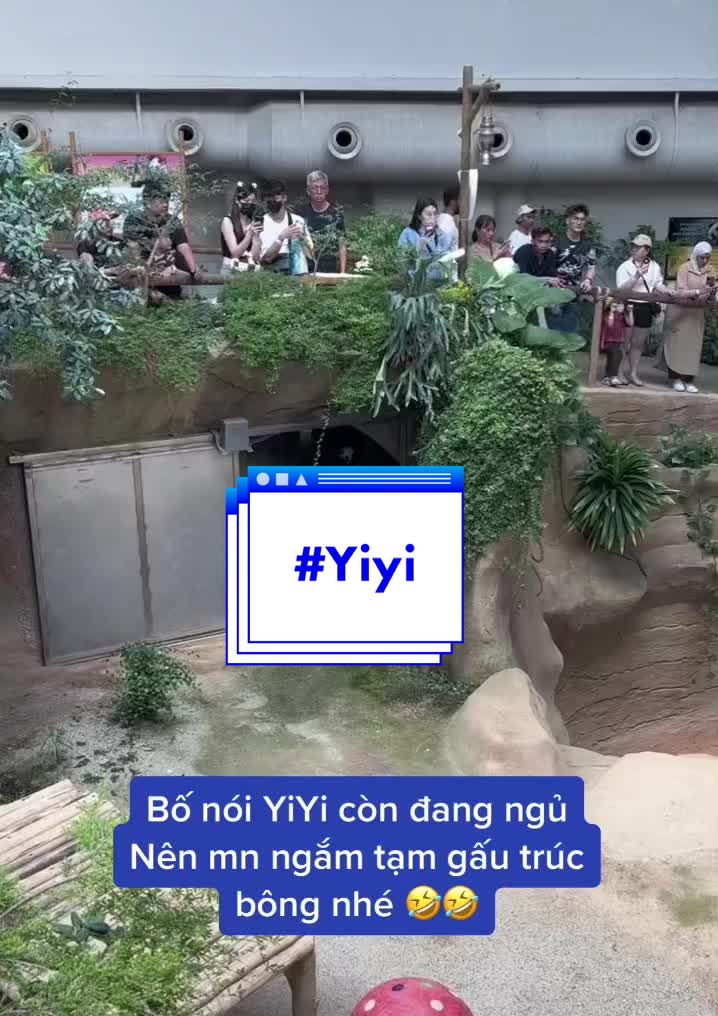 @Poky Family