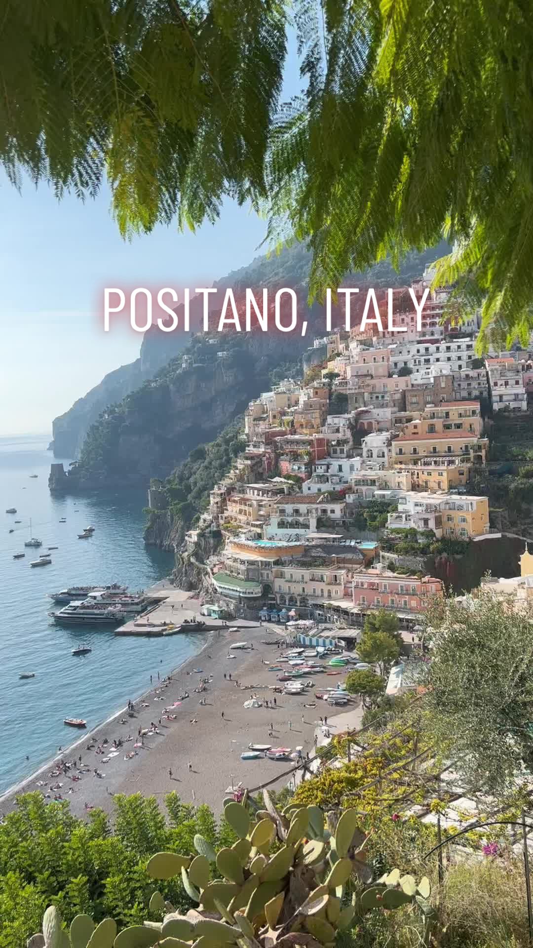 @thephotographypal