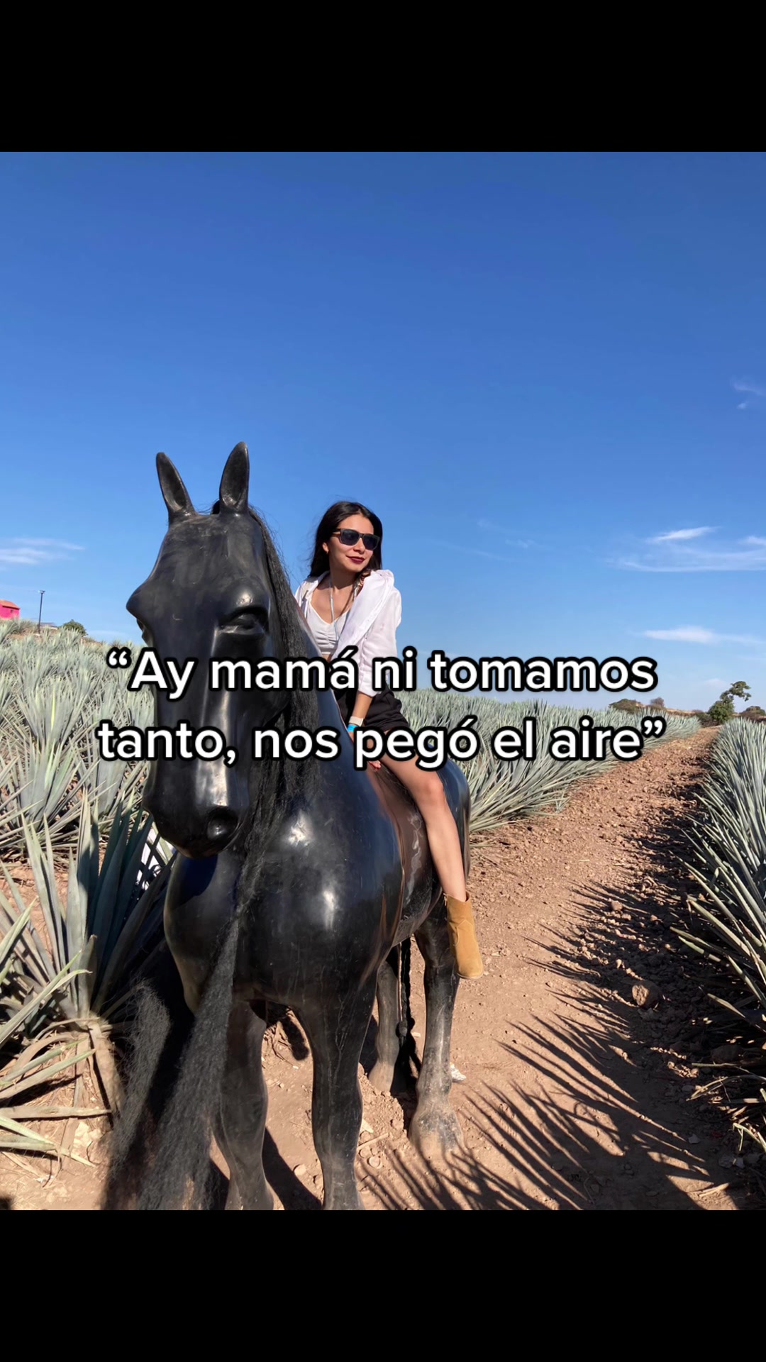 @Sheshé