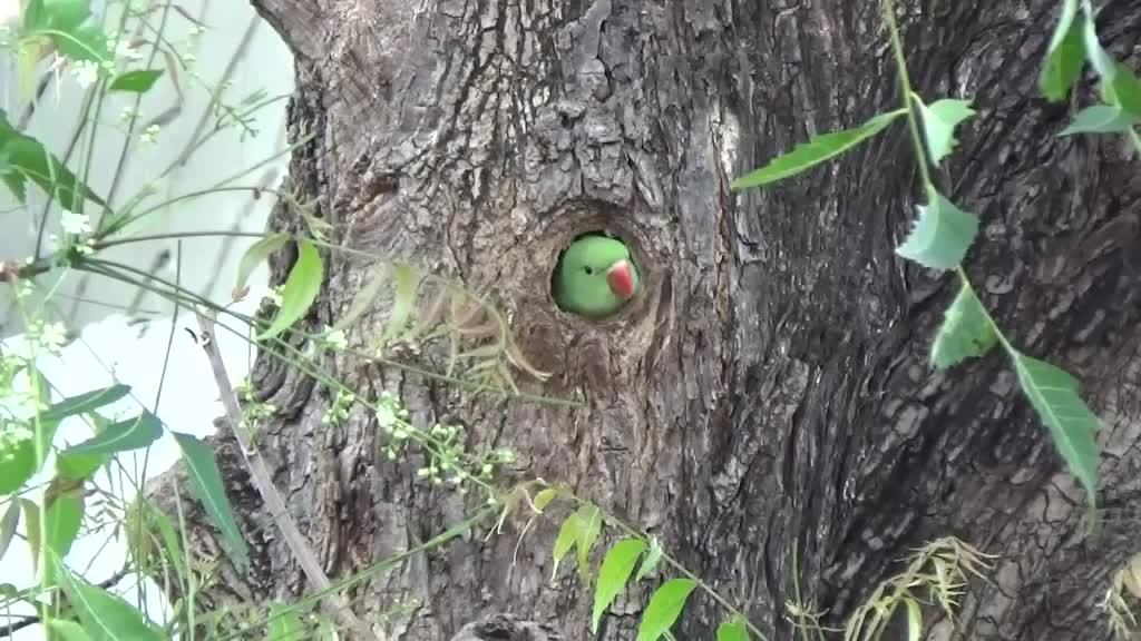@nature lover 🌿🍃