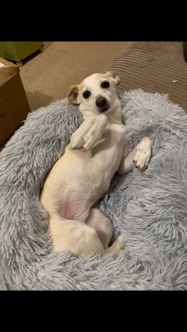 @Nala