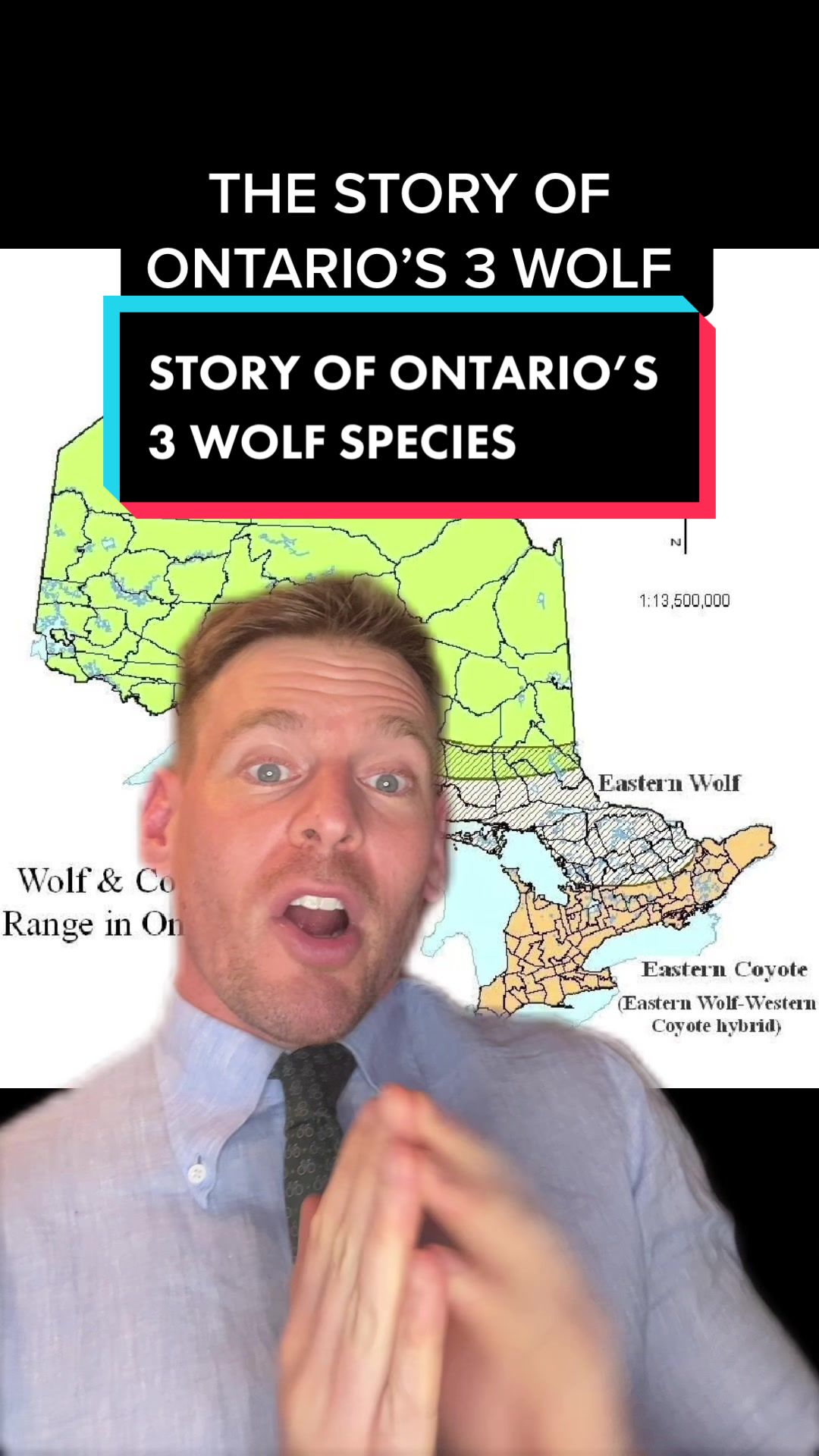 @Wild Ontario News