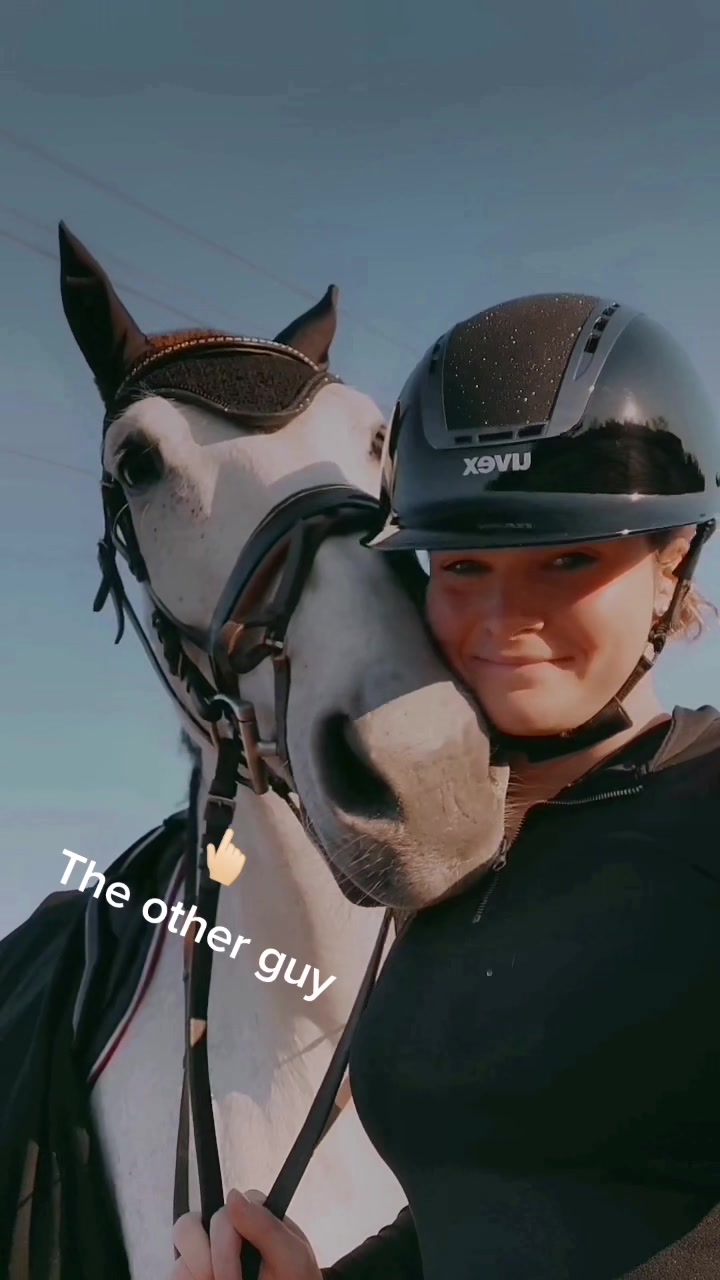@Sir Ludwig Equestrian