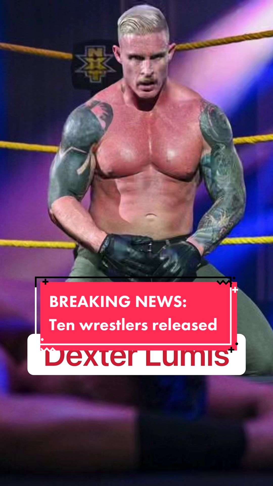 @Prince of Pro Wrestling