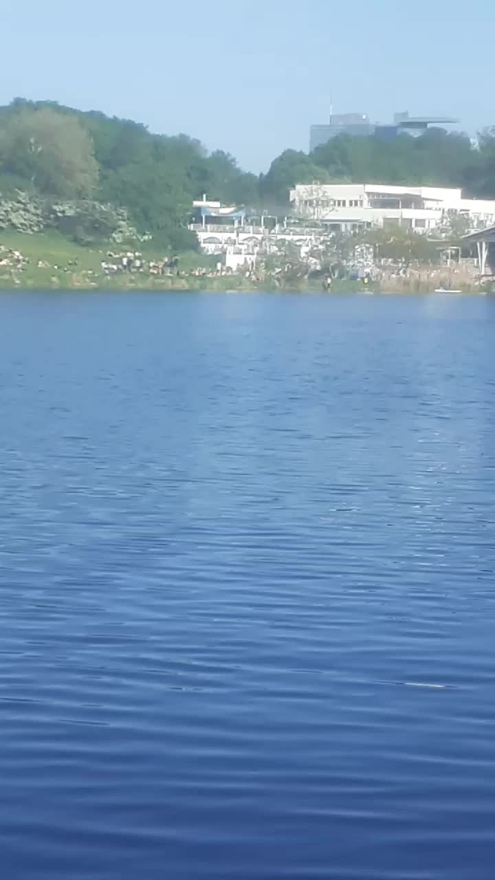 @Mariana Madan