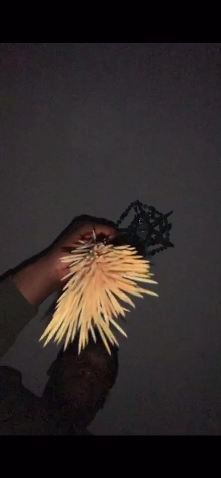 @Mr 6Foot3+