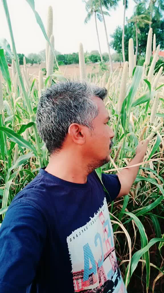 @Ramesh Vellasamy
