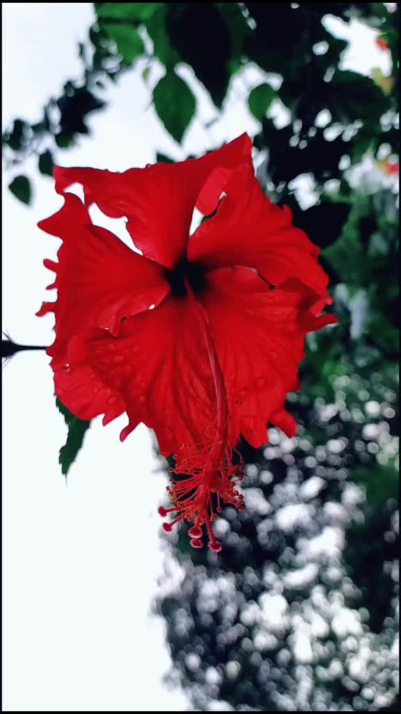 @Nikhil Nikhil