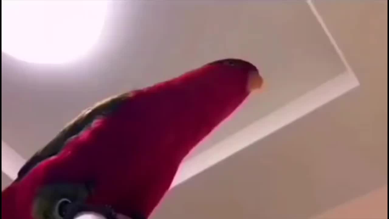 @&deg;𝔹𝕦&deg;ℕ𝕚𝕚𝕊𝕒𝕟(♡&deg;▽&deg;♡)