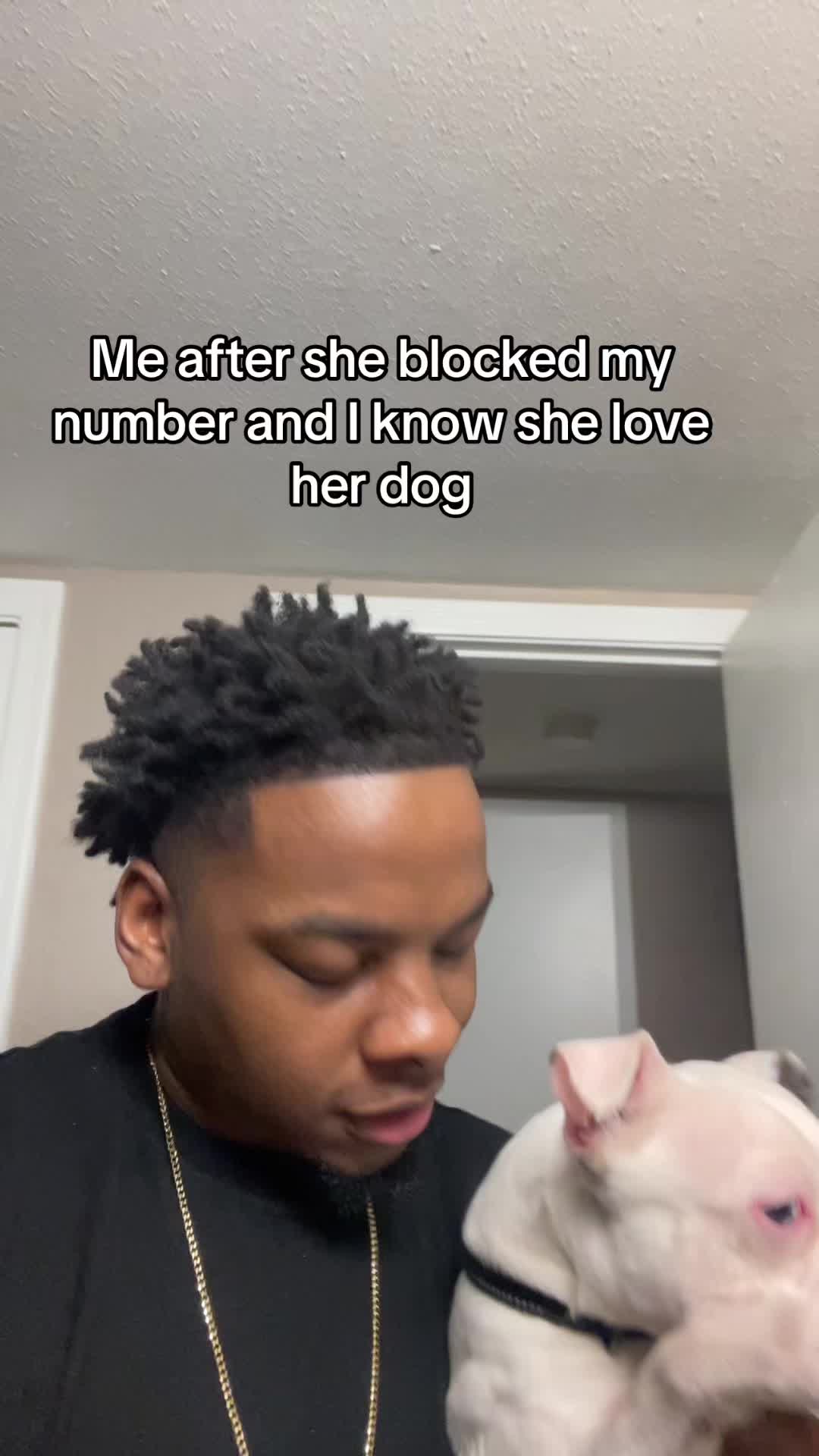 @QuiSar