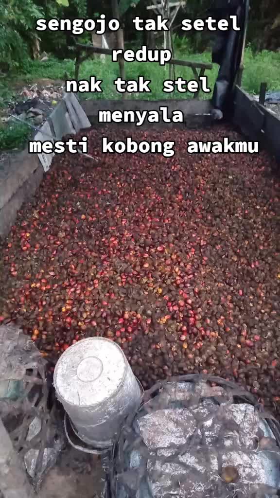 @Gembala_muda💎