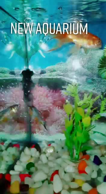 @Mohit kanganheriya