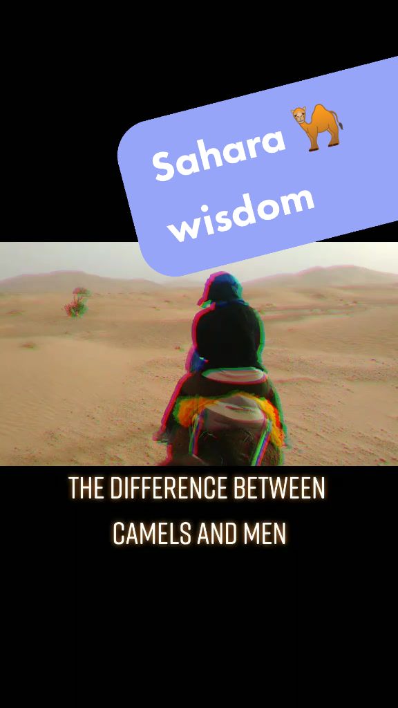 @ShiDeRob
