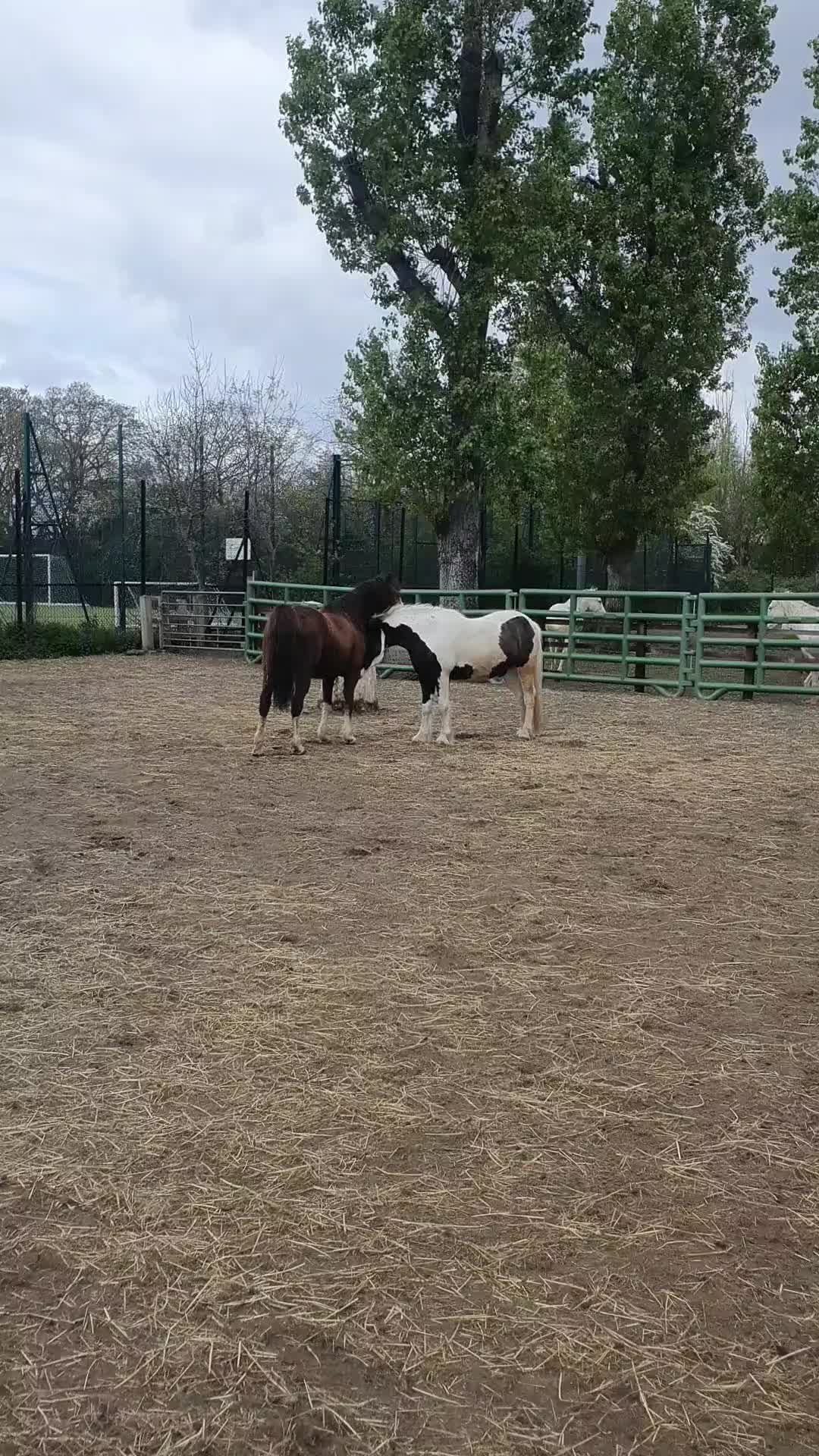 @WSPC