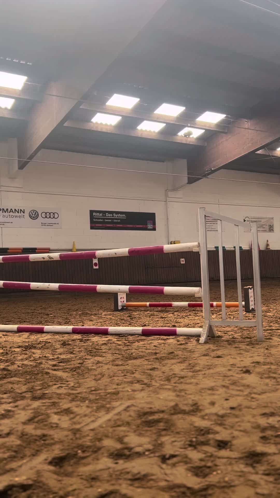 @🐎