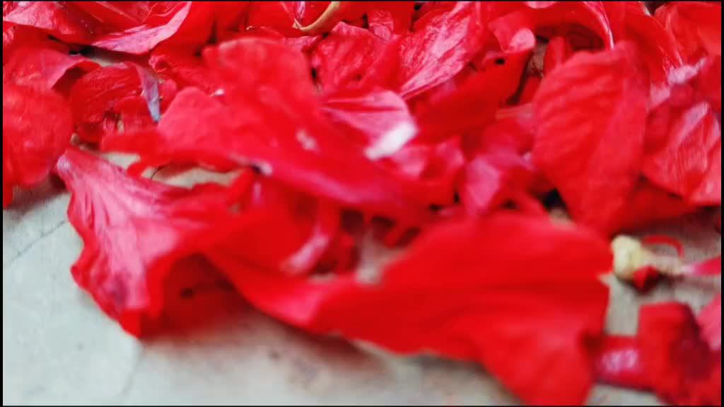 @Naanu_kashyap14