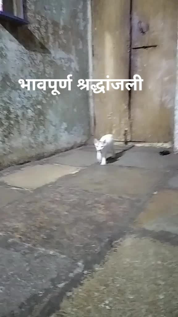 @Dhiraj Garje