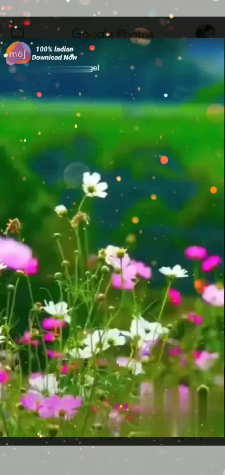 @user 156