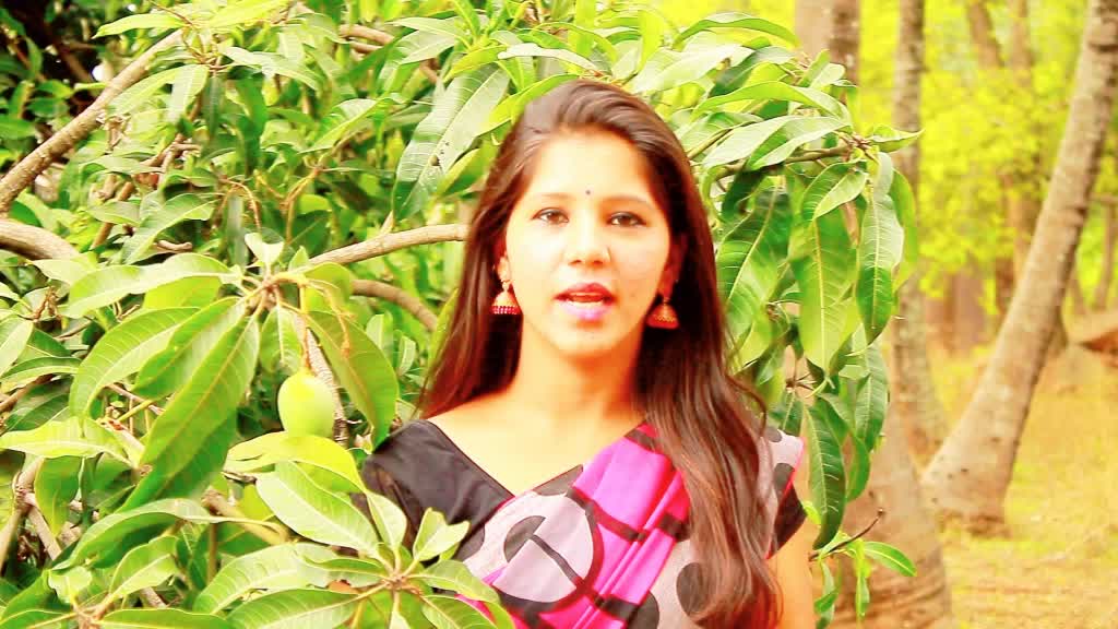@kavya banjar