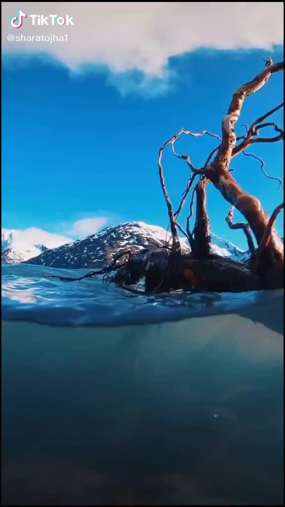 @Sarat sarangi