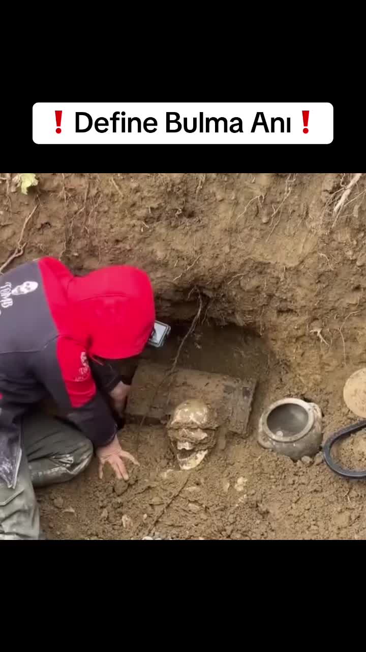 @Ekselans