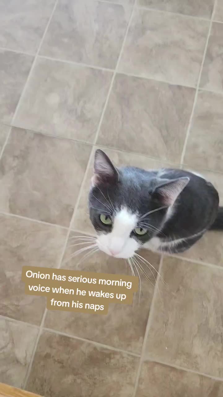 @Onion!