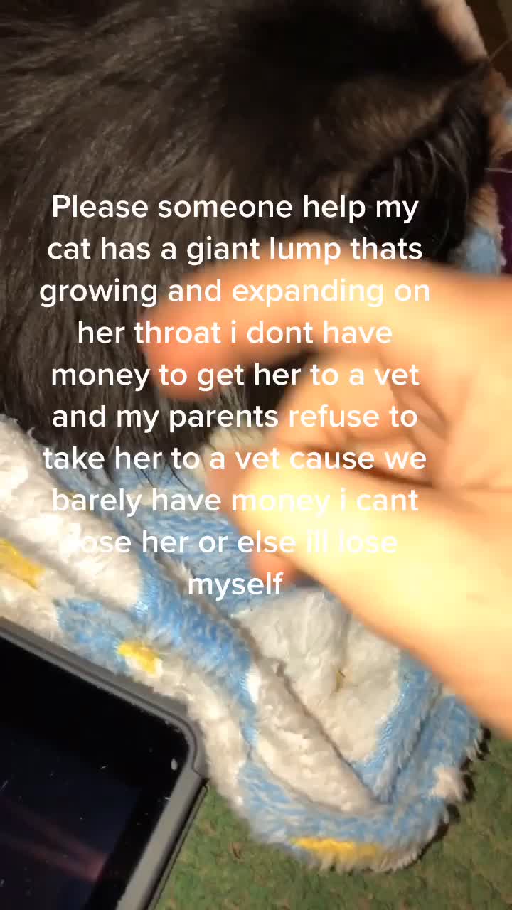 @:(
