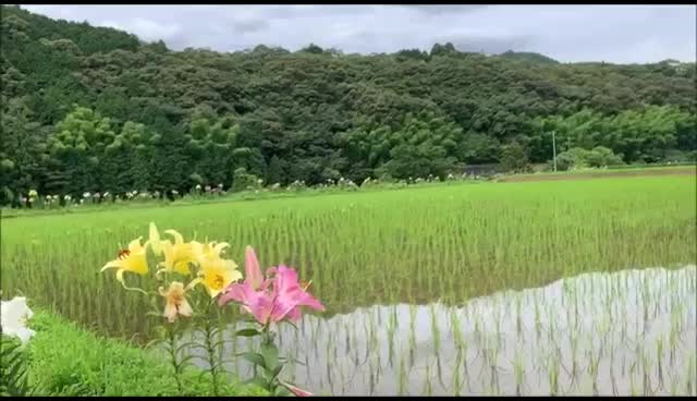 @Latha P