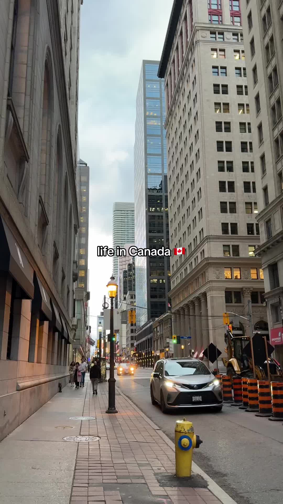 @MYLA🦅