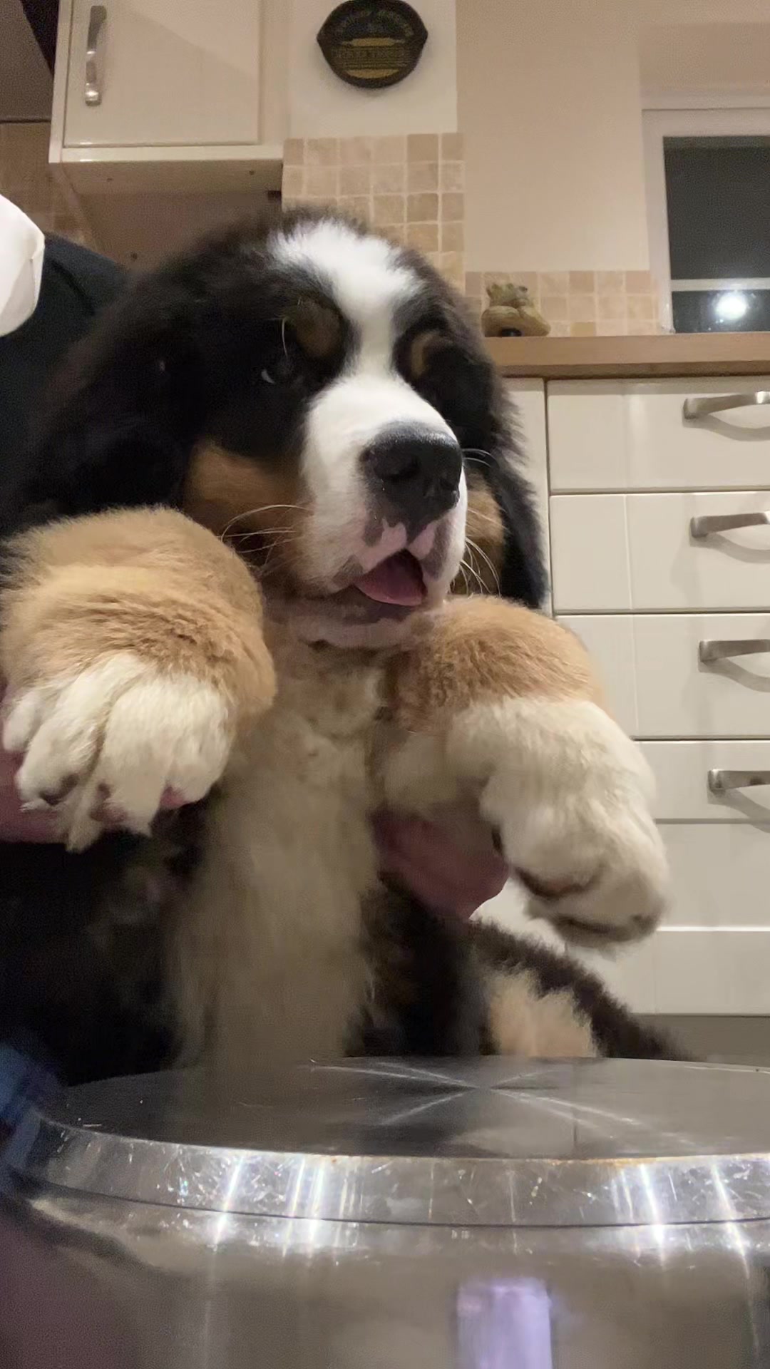 @GorgeousGeorge