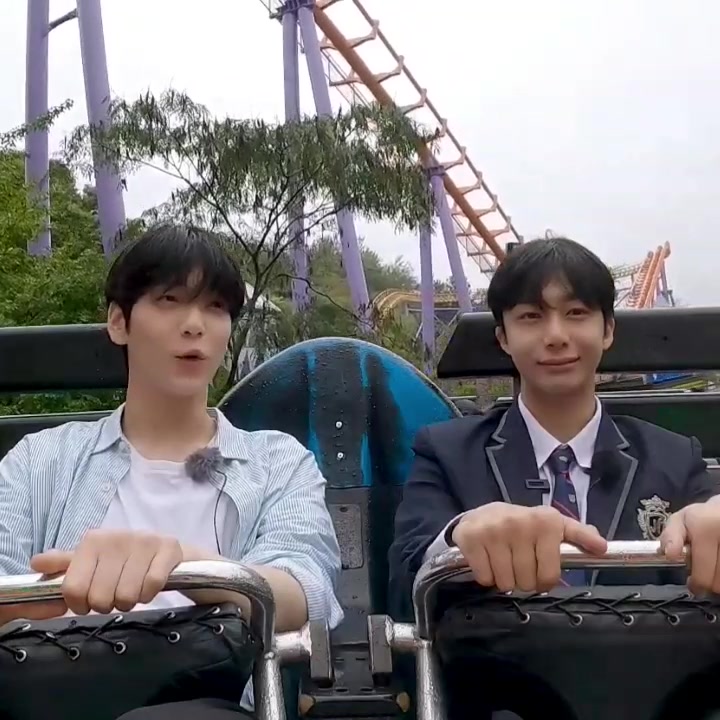 @shibebe 🫧