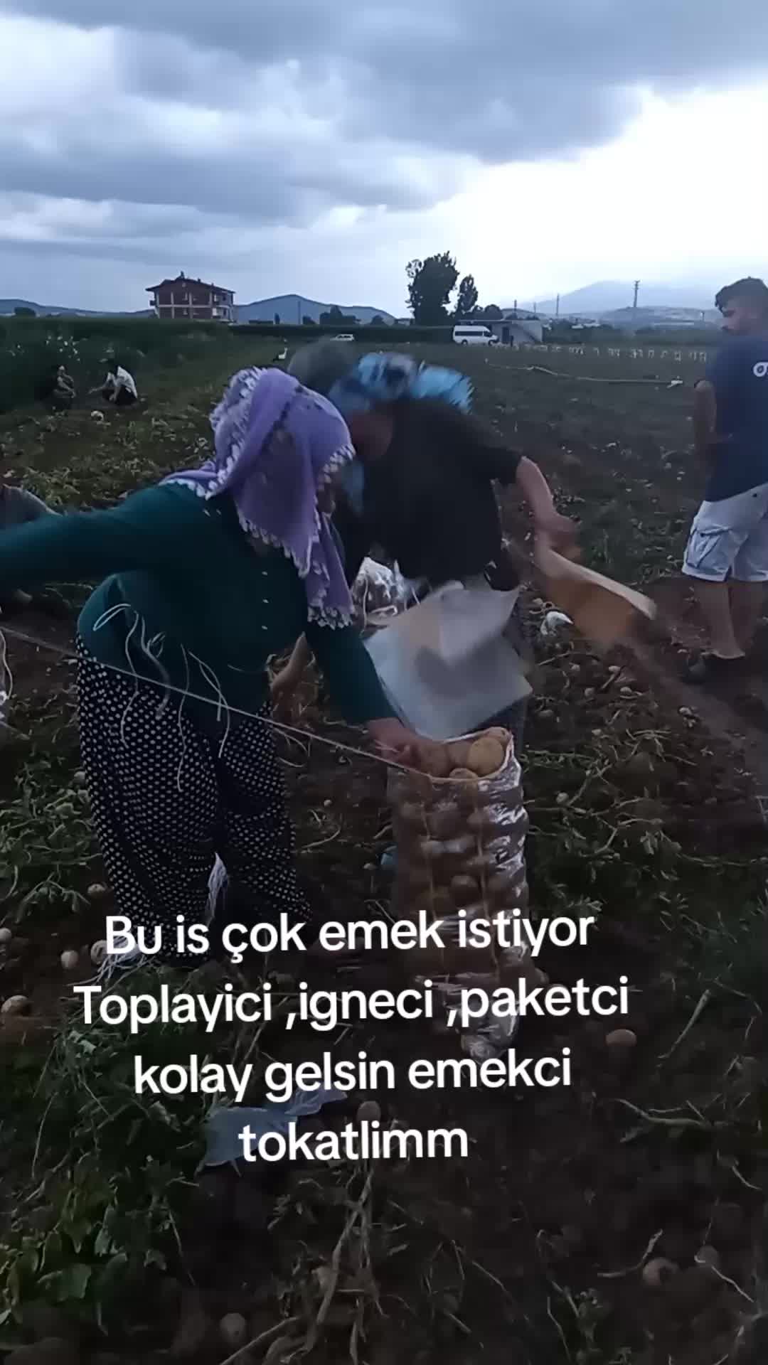 @❤️Emin ❤️ Ayşe Ilık ❤️