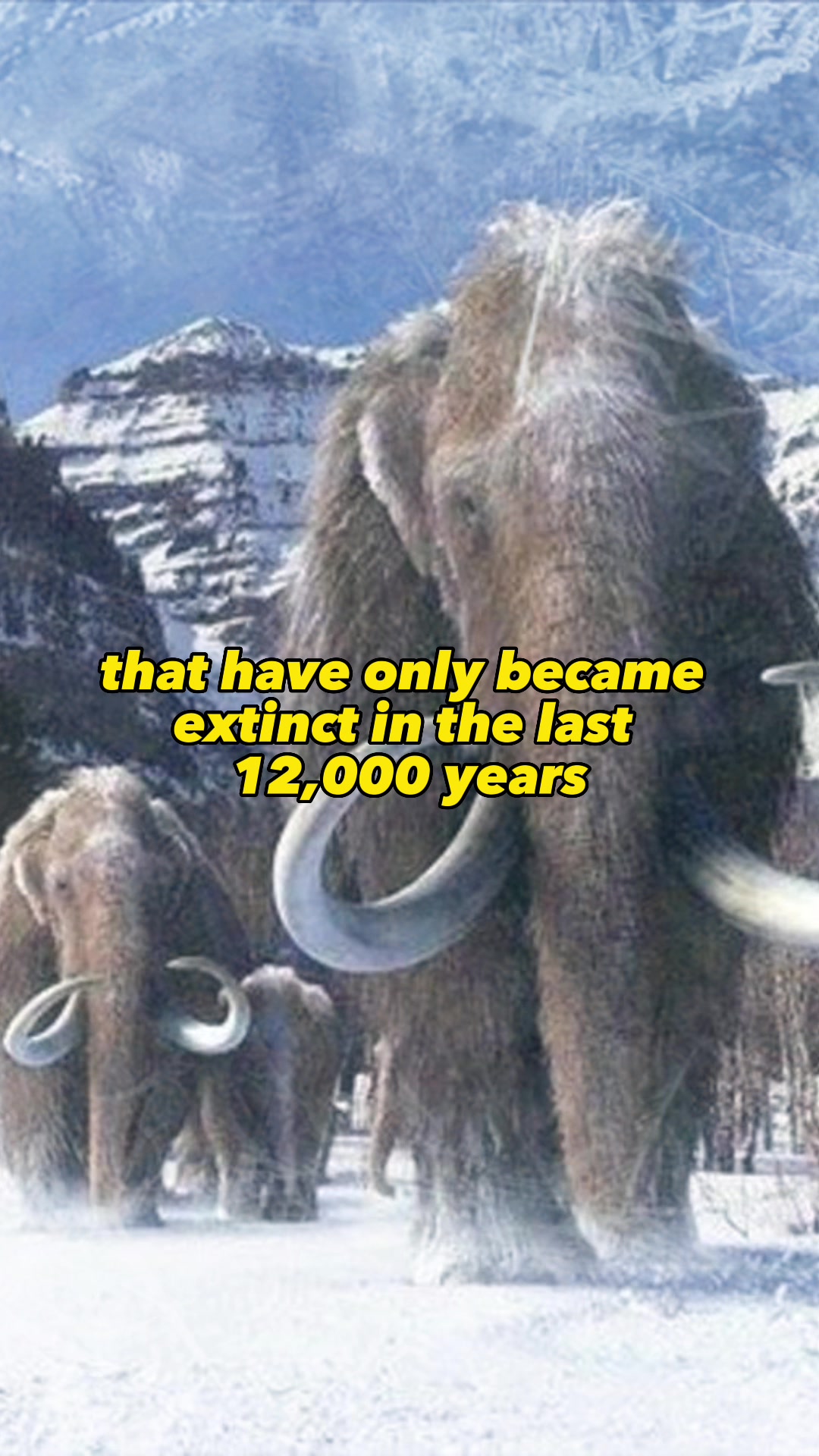 @Historymush