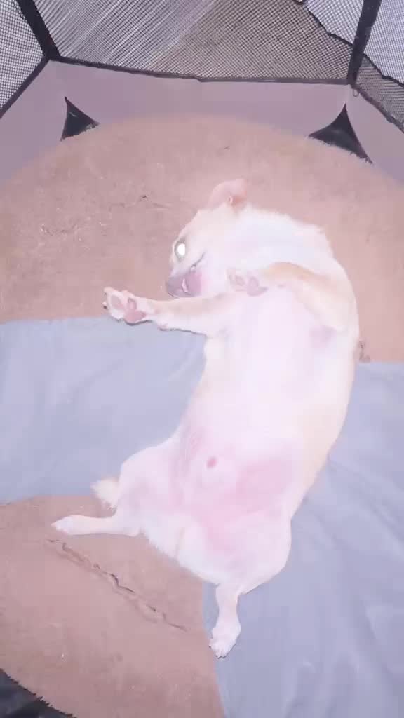 @๐๐๐
๐
๐
๐
๐
๐
๐
๐
