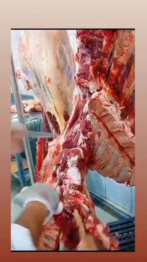 @criando um pouquinho de tudo