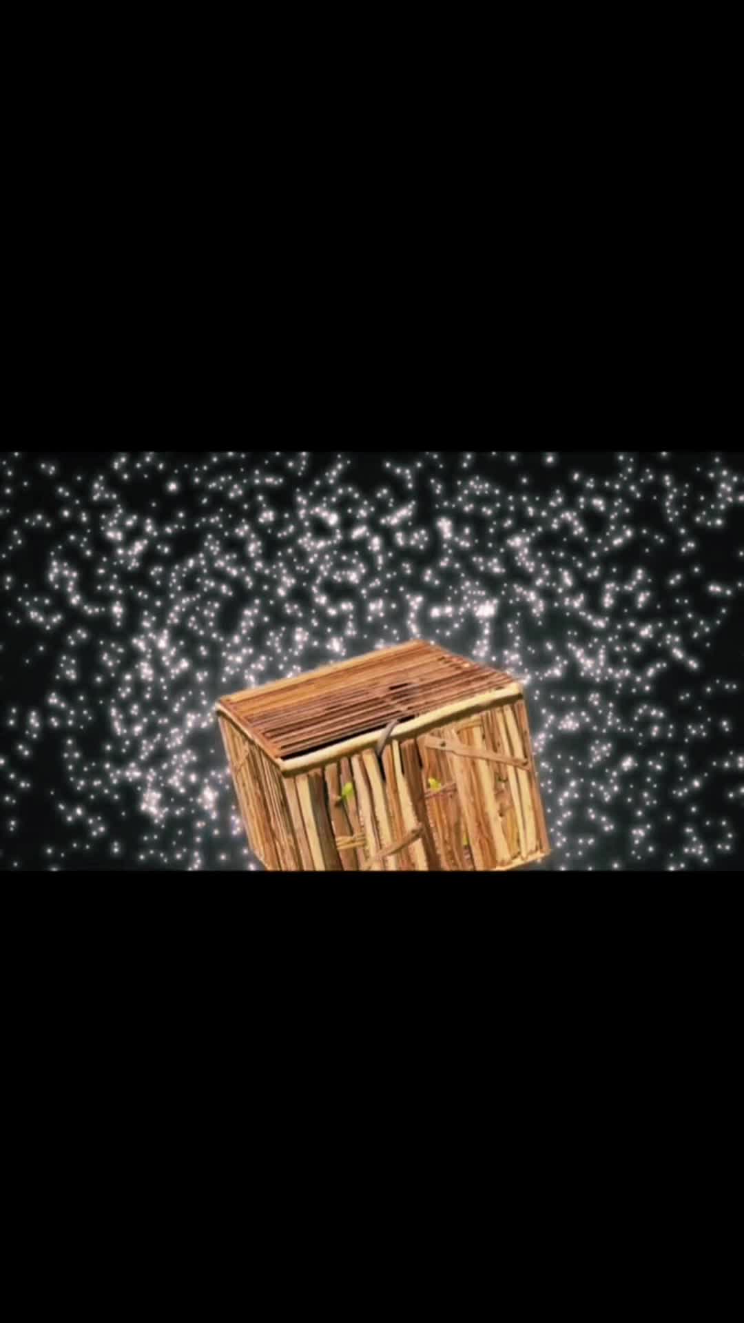 @909TeamFortnite