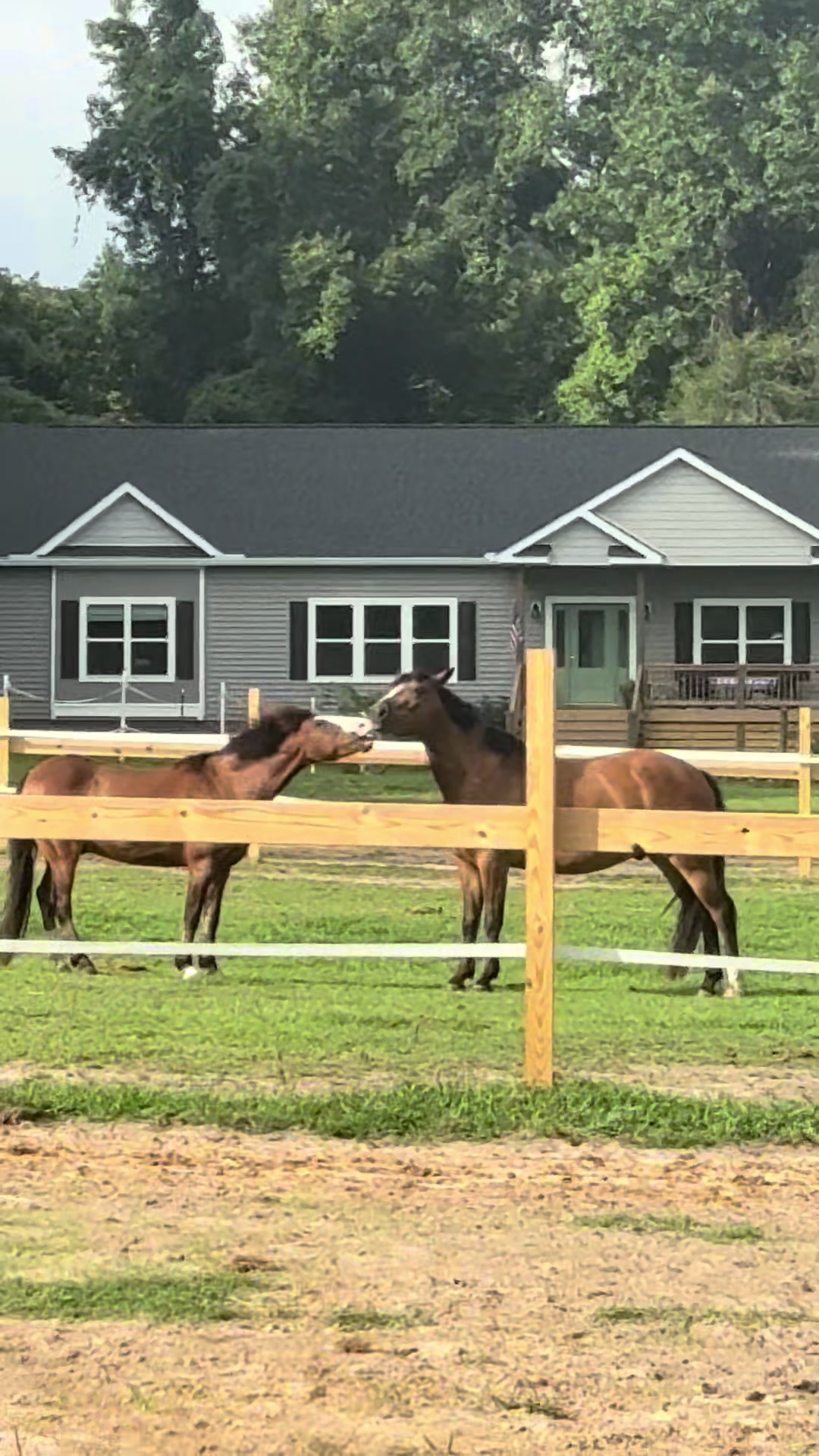@MindsetEquestrian