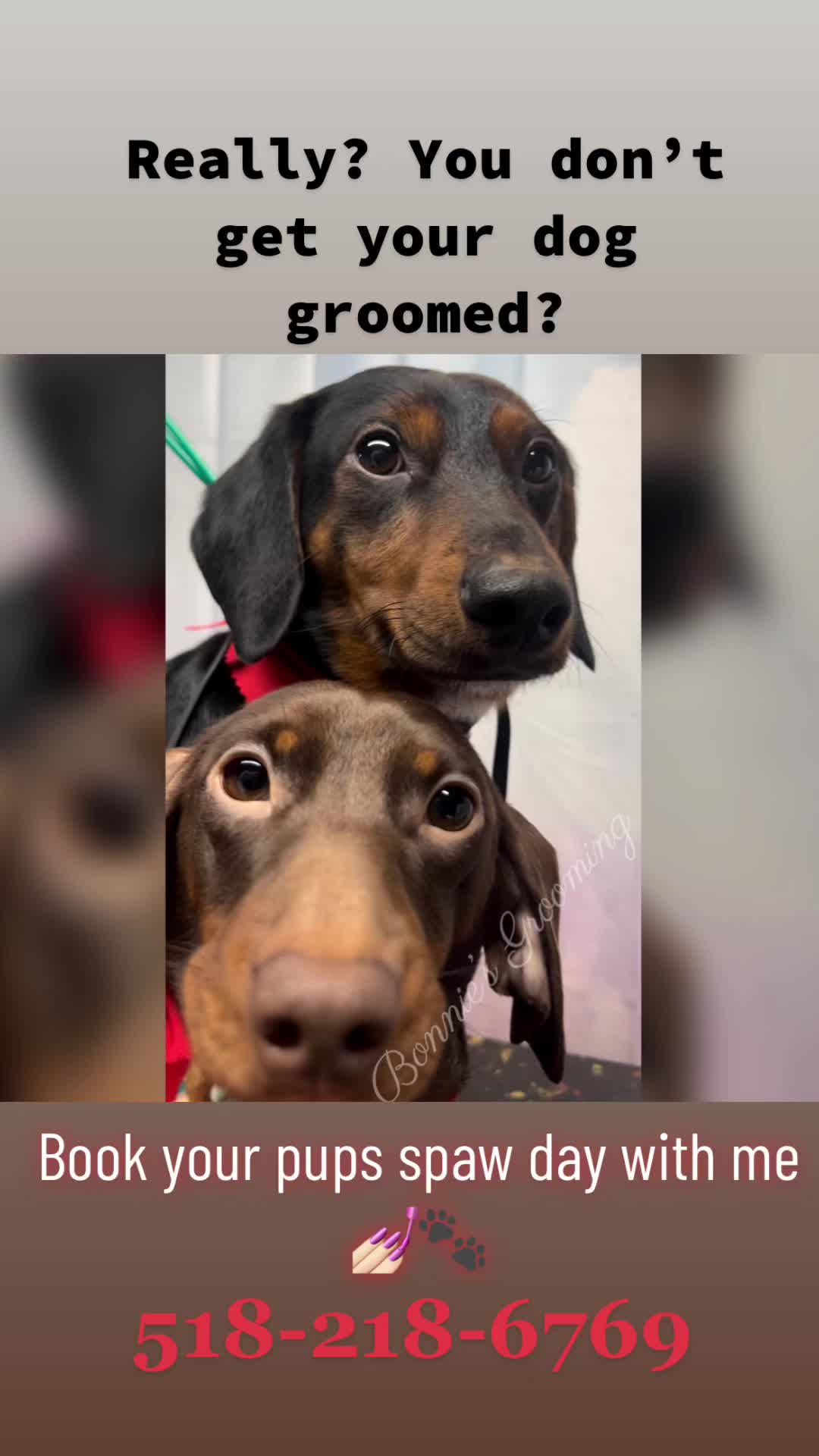 @Bonnies Grooming Llc