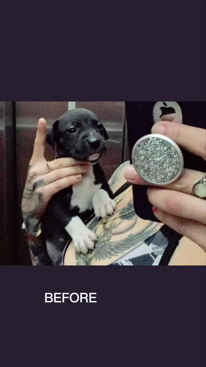 @ReyaNmT