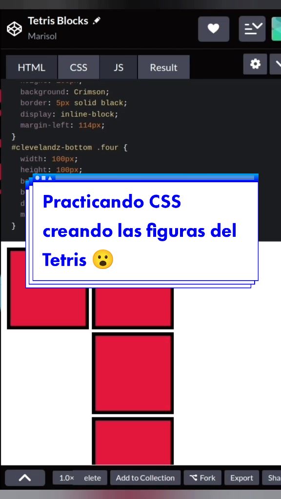 @Marisol | Coder/Developer