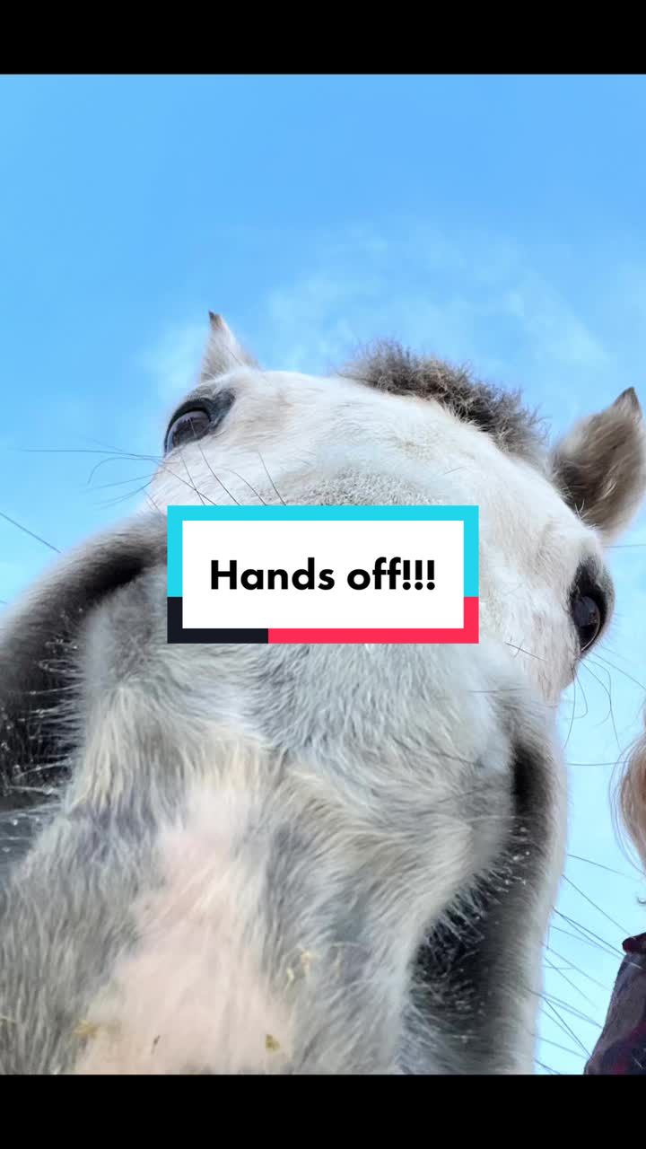 @Shari | Horses & Life Skills