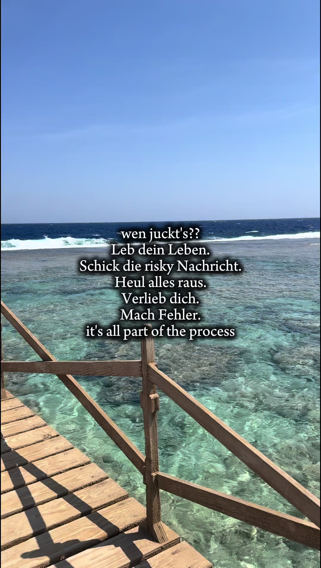@Luca🐬