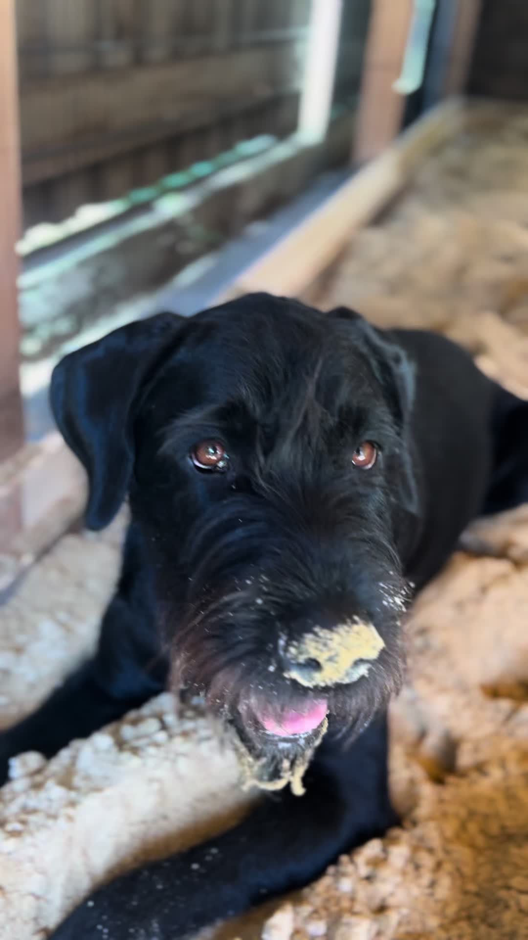 @Hunde- und Katzenpension